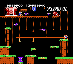 Donkey Kong Jr - Level Q or 26.  - User Screenshot